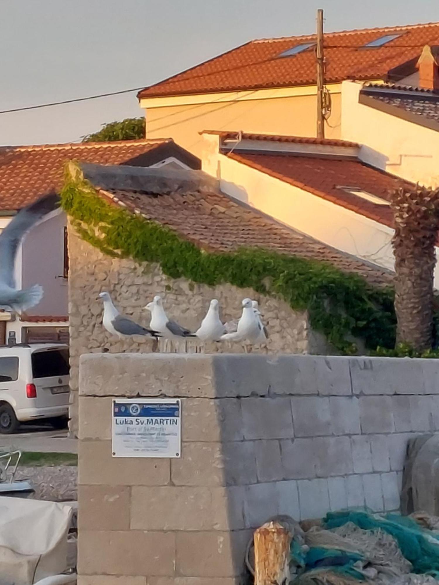 Apartments Suncica Mali Lošinj Exteriér fotografie